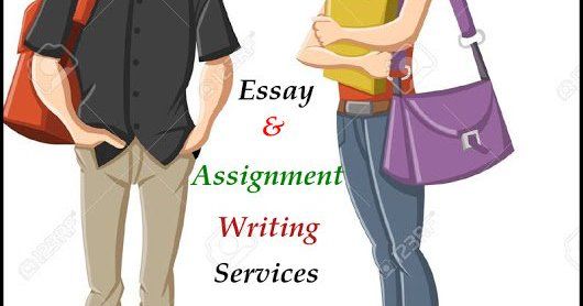 New zealand essay writing service