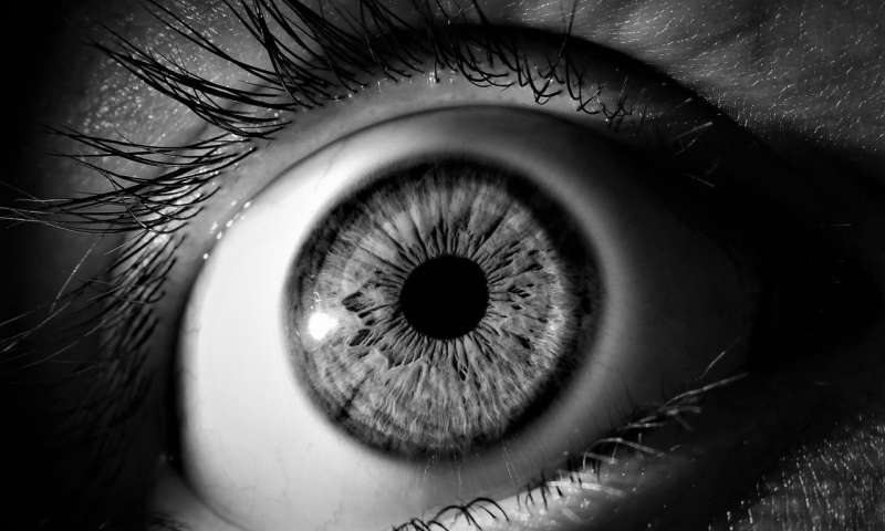 Eye Damage Linked To Popular Over The Counter Vitamin That Lowers Cholesterol Can Be Reversed Diabetic Eye Disease Diabetic Retinopathy Disease Eye Damage Linked To Popular Over The Counter Vitamin That Lowers Cholesterol Can Be Reversed Diabetic Eye Disease Diabetic Retinopathy Disease
