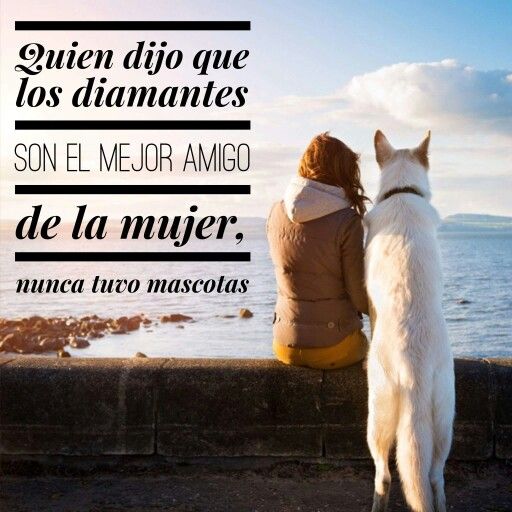 Mi Mascota Animales Frases Perros Y Bebes Perros Frases