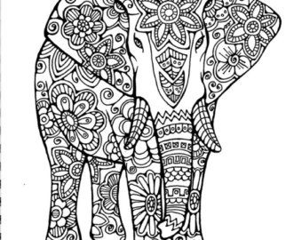 Chameleon Coloring Page
