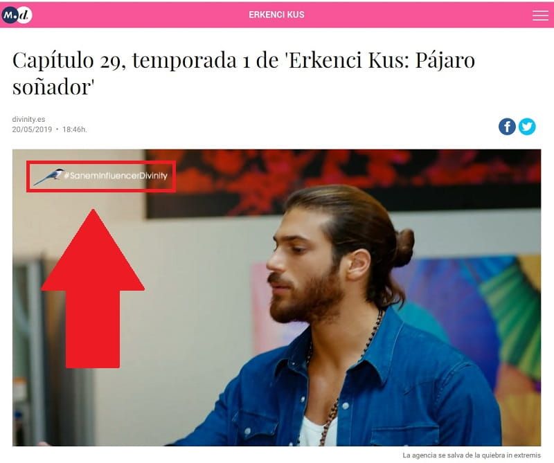 Ver Capítulos De Erkenci Kus En Español Online Gratis Y Legal 2019 Español Agencia De Publicidad Telenovela