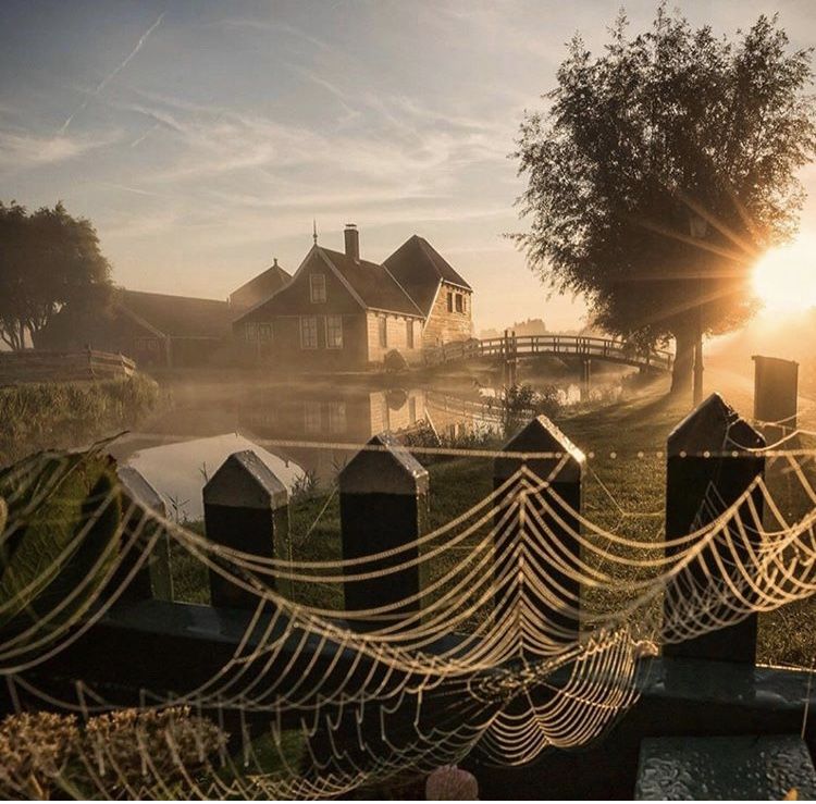 Pin van Gerry Titus op Amsterdam | Reisideeën, Fotografie ...