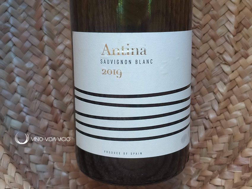 Antina Sauvignon Blanc 2019 De Aldi España Sauvignon Sauvignon Blanc Vino