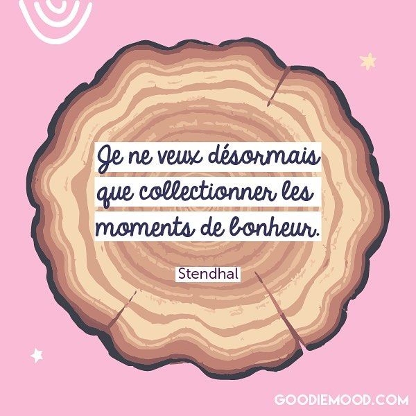 Dissertation le roman est un miroir