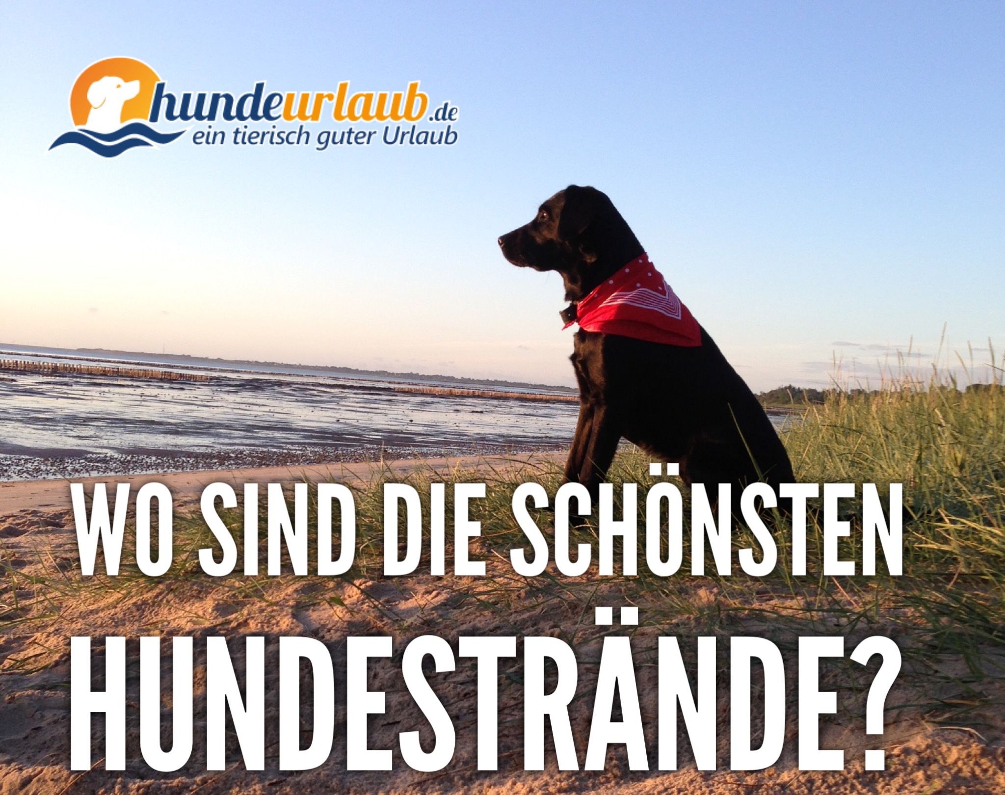 Die besten Hundestrände aus über 100 Stränden an Nord- und Ostsee - Hundeurlaub.de - Blog - Urlaub mit dem Hund