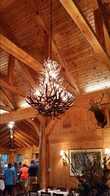 Large Animals Sporting Goods 5 LBS OF REAL ANTLER~DESIGN Large Animals Sporting Goods 5 LBS OF REAL ANTLER~DESIGN