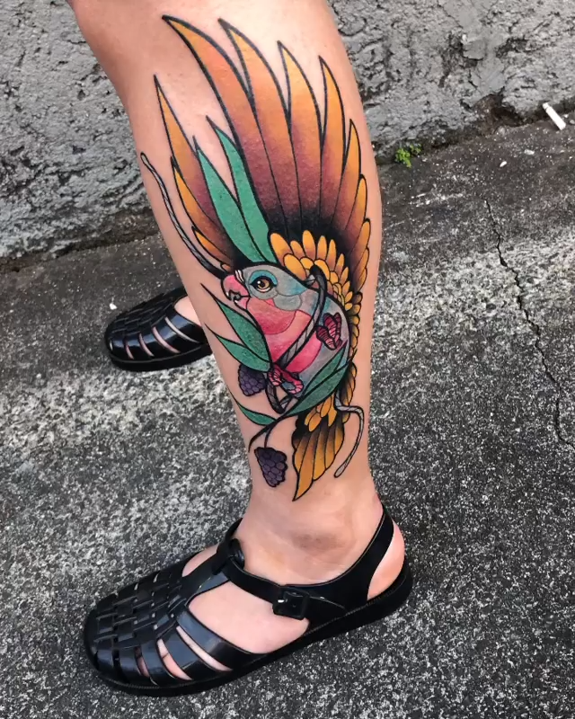 Tatuagem de pássaro colorido Tatuagem de pássaro colorido