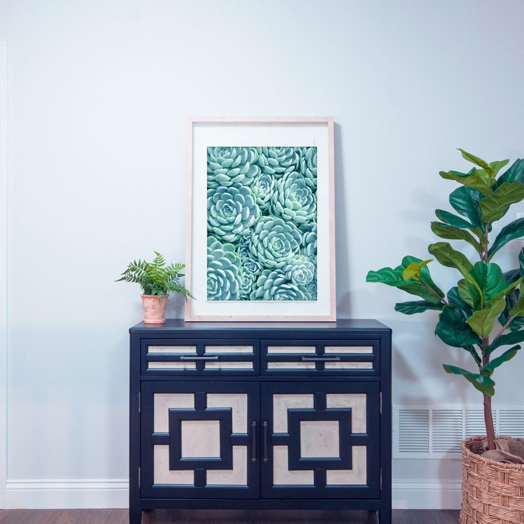 SUCCULENTS 🌵 does anyone else love them? 🙋♀️ 'Turquoise Succulents' now available on a range of products in my @society6 shop 👉🏻 https://society6.com/judithhoy #society6design #society6art #society6 #lifestyle #homedecor #artprint #artprintforsale #artprintsale #buyart #cozyathome #wallart #natureprint #tropicalart #succulentlover #succulentobsession #succulentart #bohemiandecor #bohemianstyle #apartmentdecor #minimalart #minimalism #cactus #cactuslover #naturephotography Bohemian Decor, Bohemian Style, Art Prints For Sale, Tropical Art, Minimal Art, Nature Prints, Society6 Art, Apartment Decor, Buy Art