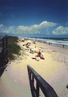 Pin By Christina Donohue On Florida Places Beach Canaveral National Seas Usville Florida Area Natural Beach Just Dunes Sand And