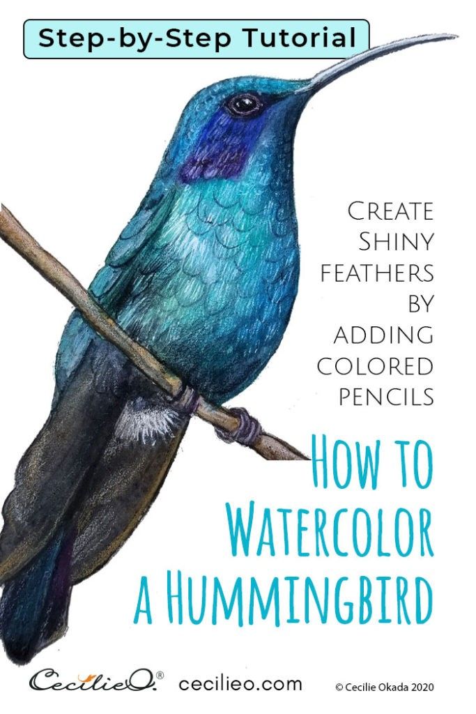 In this hummingbird watercolor tutorial, the focus is the beautiful, shimmering feathers. FREE line art to trace. An unconventional approach to solve the glimmer riddle. It may even look messy. But if you follow the steps, you will arrive at a beautiful hummingbird watercolor. Watercolor Beginner, Learn Watercolor, Watercolor Tips, Loose Watercolor, Watercolor Art Lessons, Purple Watercolor, Watercolour Tutorials, Watercolor Paper, Bird Watercolor Paintings
