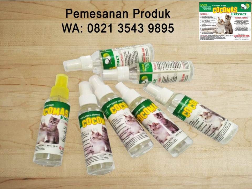 Obat Penawar Kucing Keracunan