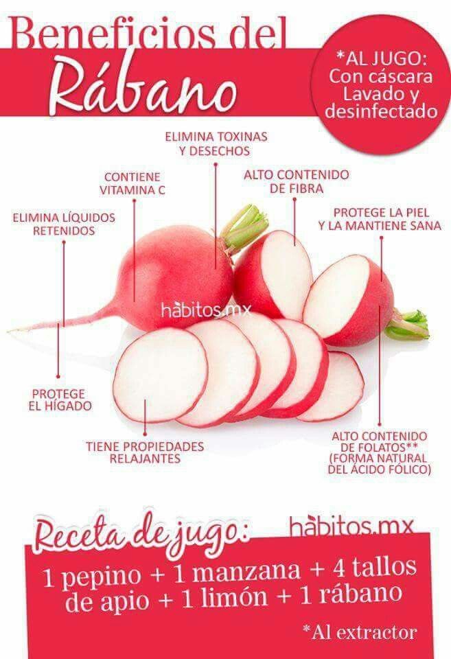 Rabanitos Beneficios Del Rabano Frutas Y Verduras Beneficios Recetas De Jugos