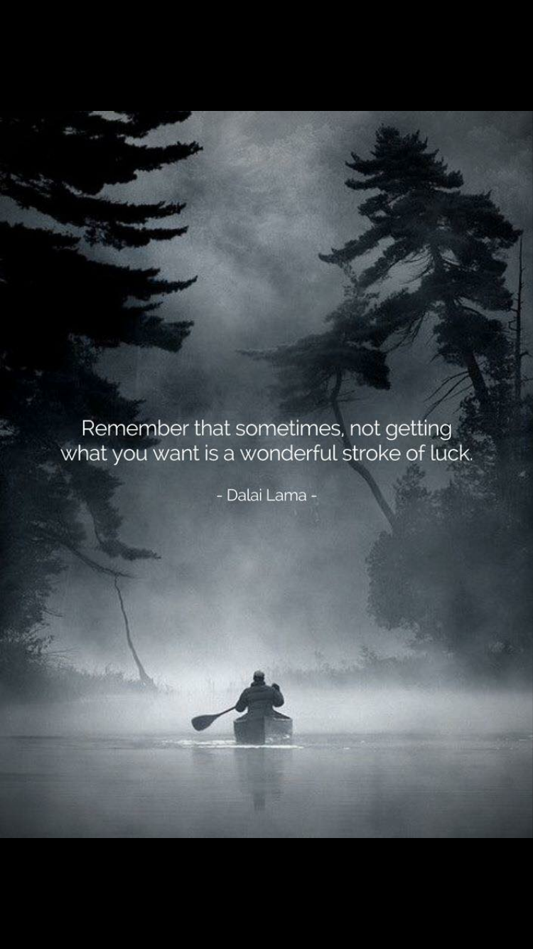 Funny Inspirational Quotes, Wise Quotes, Meaningful Quotes, Great