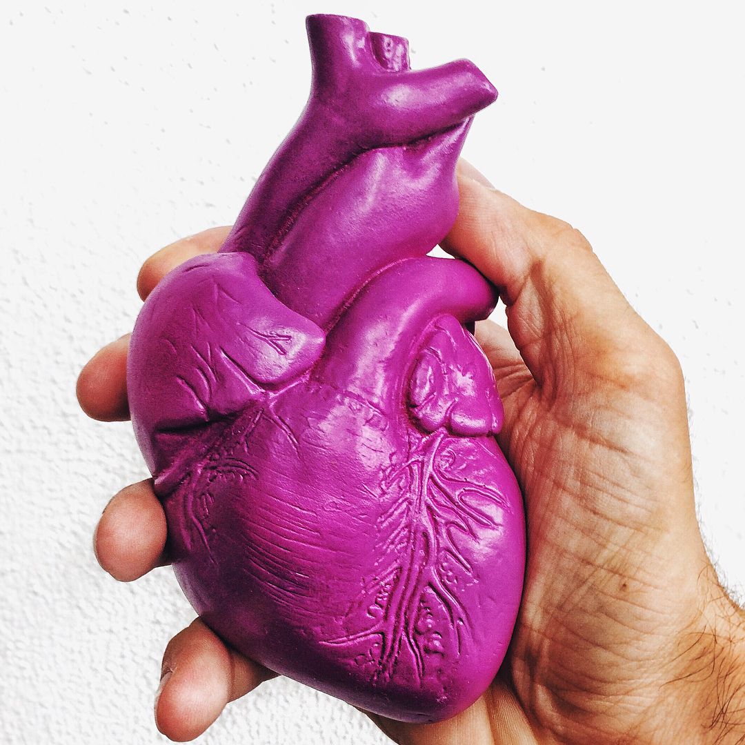 Image result for human heart colored purple pinterest
