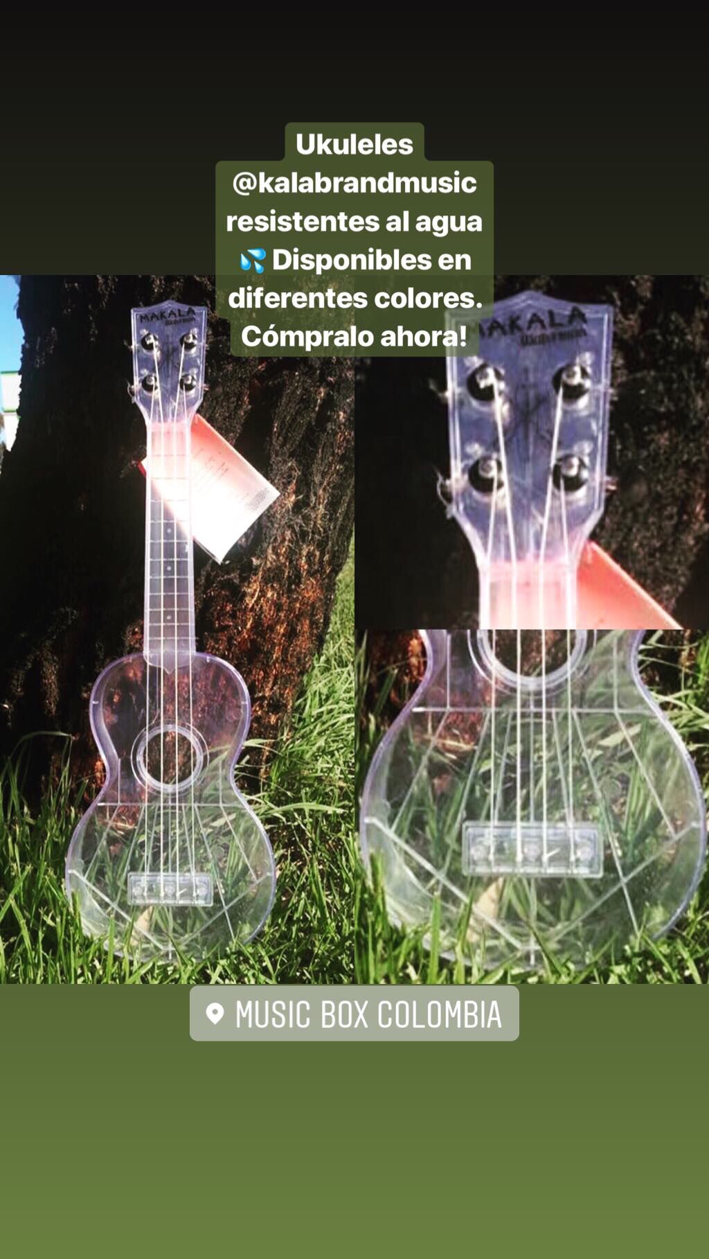 Ukuleles @kalabrandmusic resistentes al agua 💦 Disponibles en diferentes colores. Cómpralo ahora! WhatsApp: 3015486986 - 3015120837 Envíos a todo Colombia 🇨🇴 . . . . #musicboxcolombia #ukelele #ukulele #ukeleles #music #colombia #musico #musician #musicians #guitarist #Bogota #dj #musicproducer #musicproduction #sale #soldout #kala #ukelelecolombia #ukulelecolombia #ukelelecover #ukulelecover #ukulelelove #ukuleleplayer #ukulelegirl #ukulelelife Ukelele, Yamaha Guitar, Dj, Colombia, Colors, Music Instruments