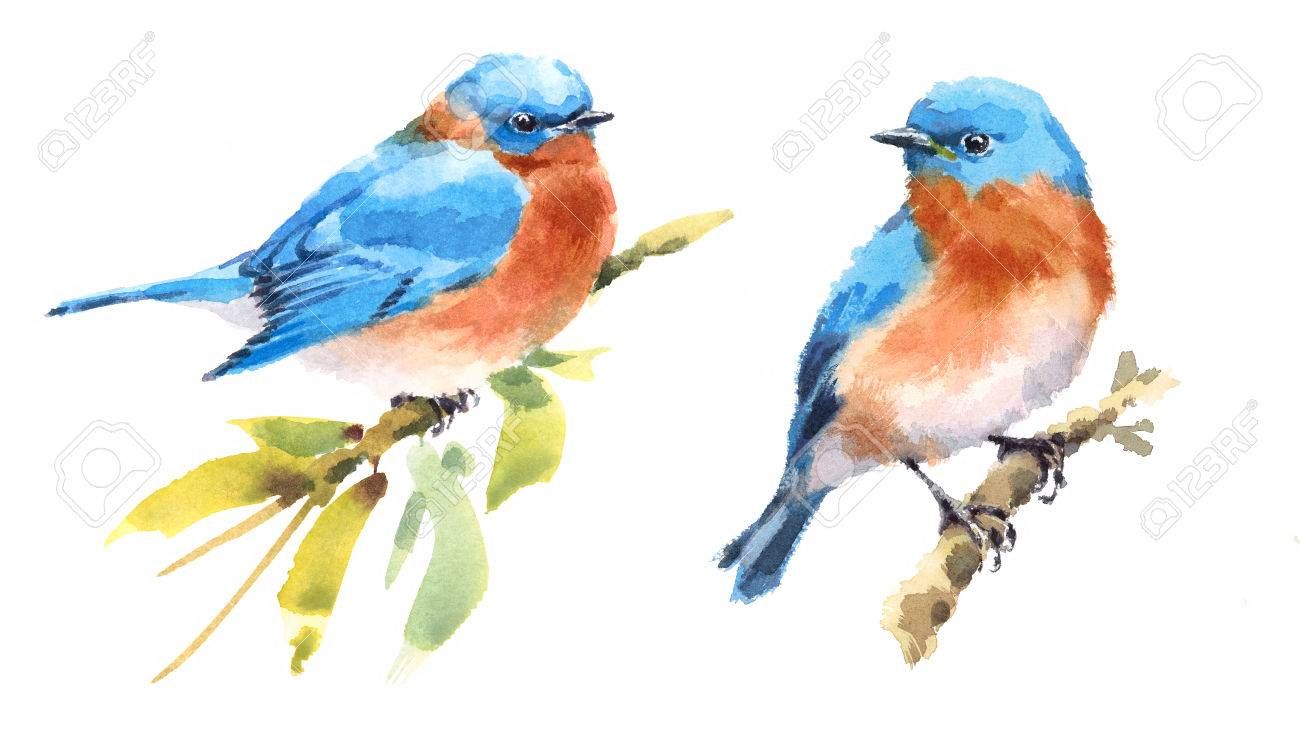 Bluebirds Two Birds Watercolor Hand Painted Illustration Set Blue Bird French Images Shabby Chic Art