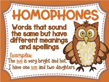 Homonym, Homograph and Homophone Posters Woodland Animal Theme | TpT Reading Genre Posters, Reading Genres, Reading Task Cards, Guided Reading, Reading Teacher, Close Reading, Welcome Back Banner, Homophones Words, Theme Anchor Charts
