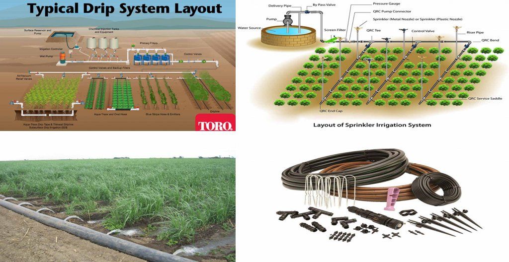 Pin By Wy Info On Garden Ideas In 2020 Irrigation System Water pin-by-wy-info-on-garden-ideas-in-2020-irrigation-system-water