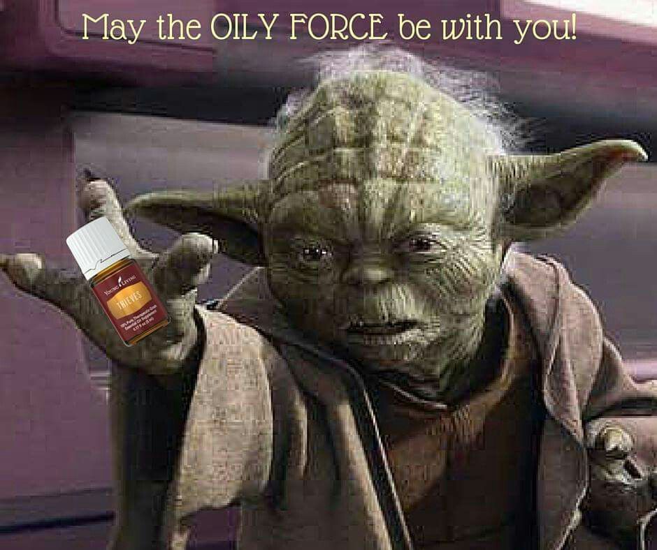 Pin By Stephanie Moffatt On Essential Oils Memes Yoda Funny