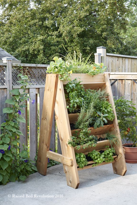 Book Review & Giveaway: Raised Bed Revolution Bog Garden, Garden Planters, Garden Art Crafts, Garden Projects, Garden Ideas, Raised Garden Beds, Raised Beds, Vegetable Bed, Home Grown Vegetables