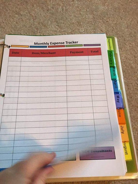 rodan and fields business printables financial tracker bundle financial tracker