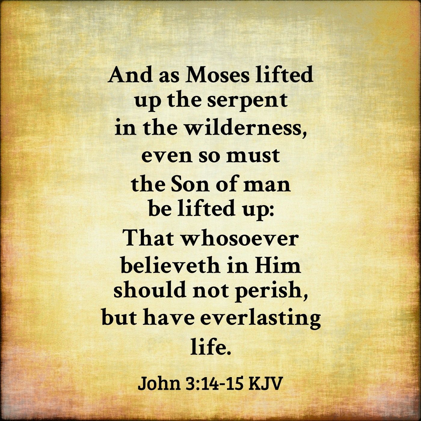 John 3:14-15 KJV | Kjv, Words, Word of god