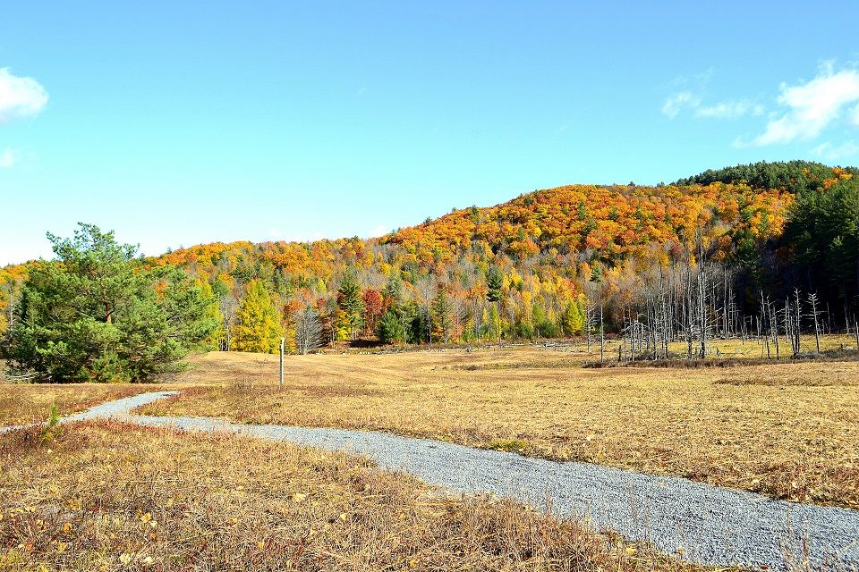 The 12 Best Towns for Fall Foliage Lake NY Official Tourism