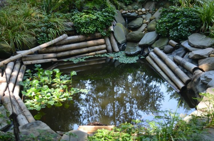 Ein Teich im Garten, umrahmt von Bambus und Gräsern | garden ... Ein Teich im Garten, umrahmt von Bambus und Gräsern | garden ...
