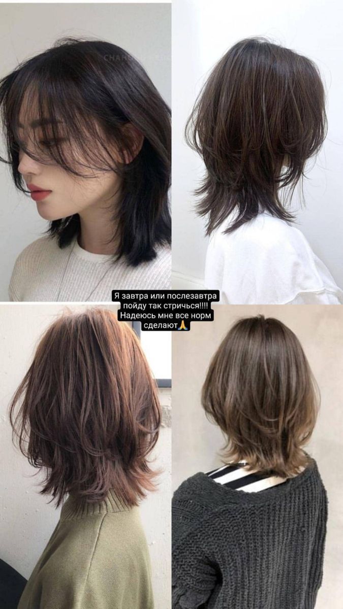 #cutehairstylesformediumhair #peinados #cutehairstyles #hairstyle #peinadosaestheticpelolargo #blackiconsaesthetic #cutehairstylesformediumhair #asyhairstylesforshorthair Haircuts For Medium Hair, Haircuts Straight Hair, Hairstyles Haircuts, Short Hair Cuts, Medium Hair Styles, Curly Hair Styles, Hair Styles Straight, Asian Short Hairstyles, Asian Haircut Short