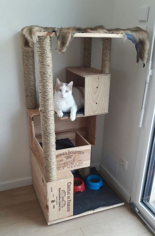Homelysmart 15 Mind Blowing Cat Houses Your Cat Needs Homelysmart Catsdiyhouse Cat House Diy Cat Room Diy Cat Toys