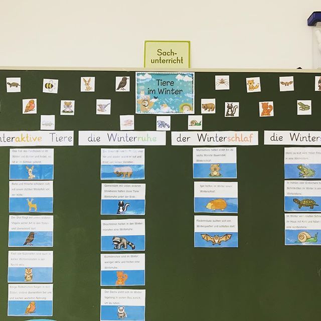 Photo of Frau Optimal on Instagram: “Tiere im Winter 🦊🐻🌨⛄️ Material: @ideenreiseblog und zaubereinmaleins #grundschule #sachunterricht #tiereimwinter #ideenreiseblog # zauber1x1…”