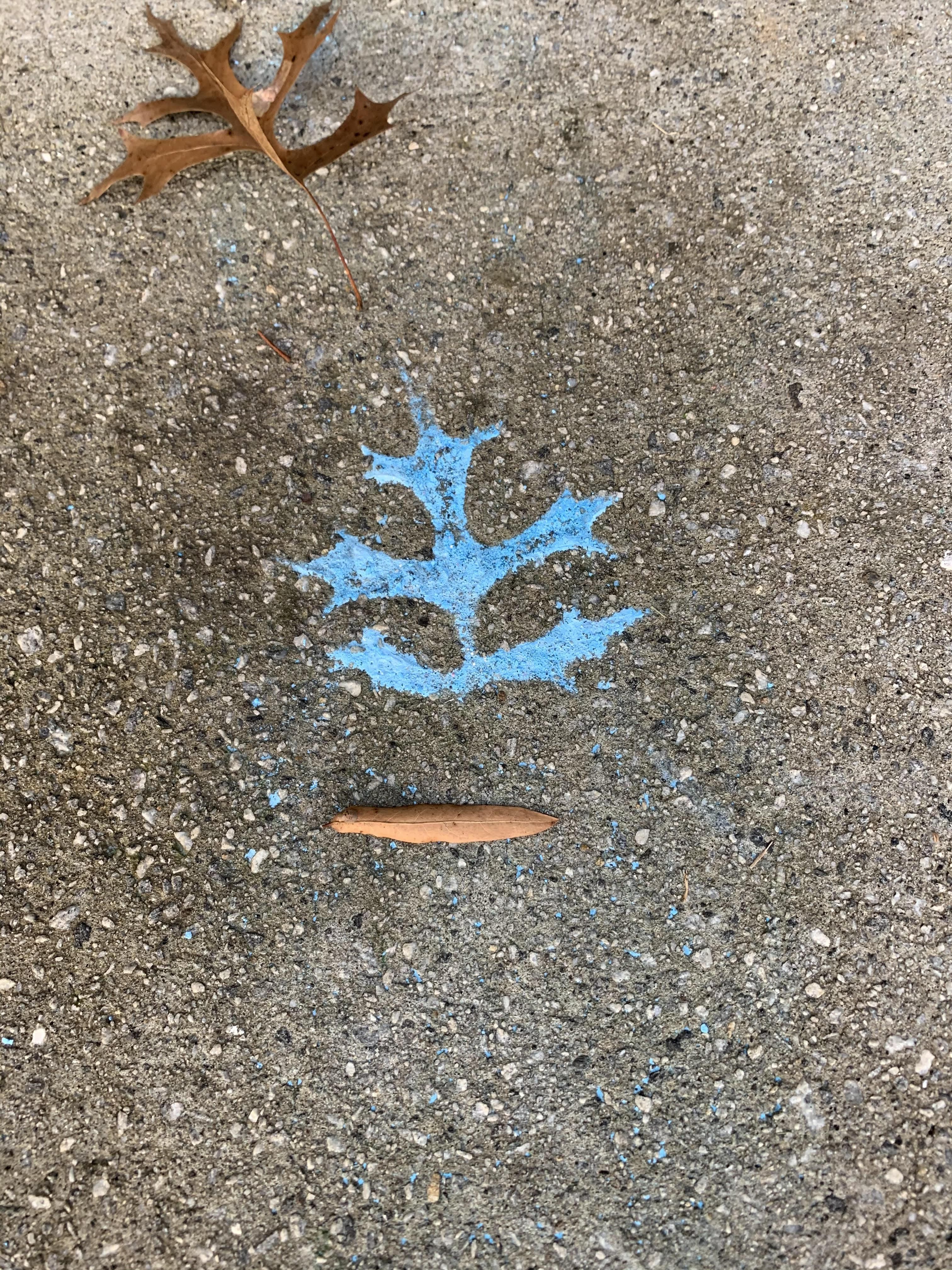 It Rained Last Night And Washed Away All Of My Kid S Chalk Drawings Except What Was Under A Leaf I Chalk Drawings Interesting Facts Mind Blown Drawings