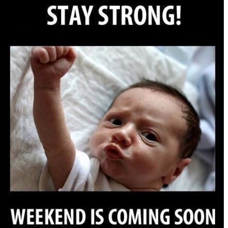 Happy Thursday Everyone One More Day Some Thursday Motivation And Positivity For Y All Happythursday Posit Funny Babies Weekend Is Coming Funny Pictures Happy Thursday Everyone One More Day Some Thursday Motivation And Positivity For Y All Happythursday Posit Funny Babies Weekend Is Coming Funny Pictures