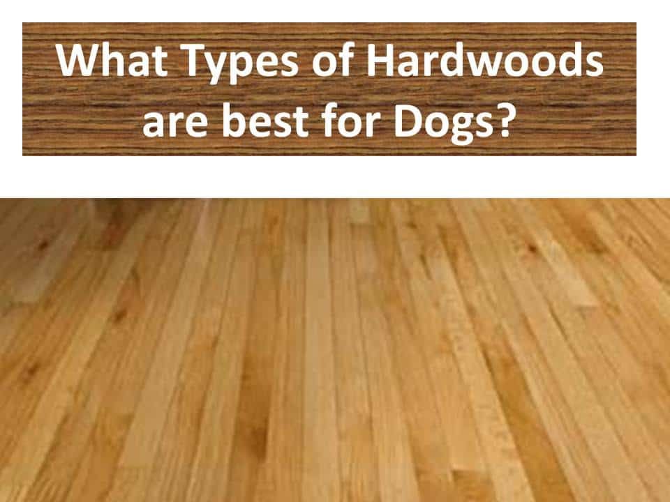 Types Of Hardwood Flooring For Dogs Floors Wood - Hardwood Floors Or Laminate With Dogs
