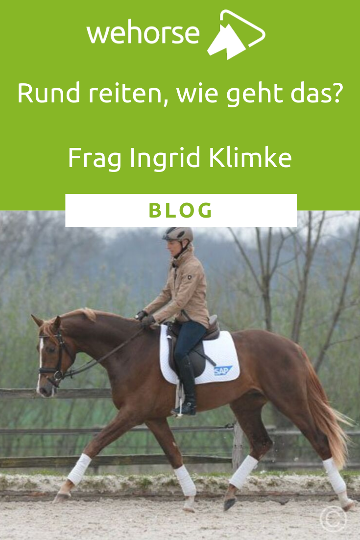 Wie geht das, sein Pferd durchs Genick reiten? Wie geht das, sein Pferd durchs Genick reiten?