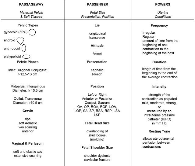 Pathophysiology 3 P's (Labor to Delivery) Passageway, Passenger Pathophysiology 3 P's (Labor to Delivery) Passageway, Passenger