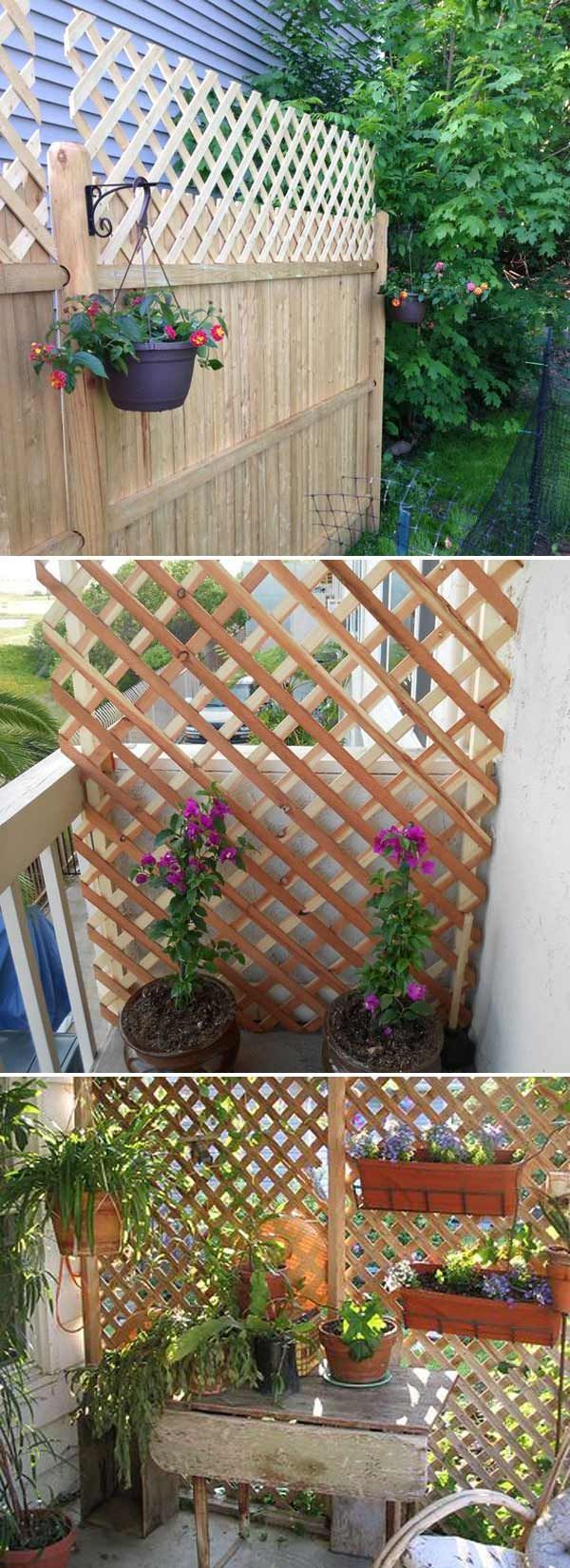 Get added privacy in your yard by building a trellis or lattice screen.