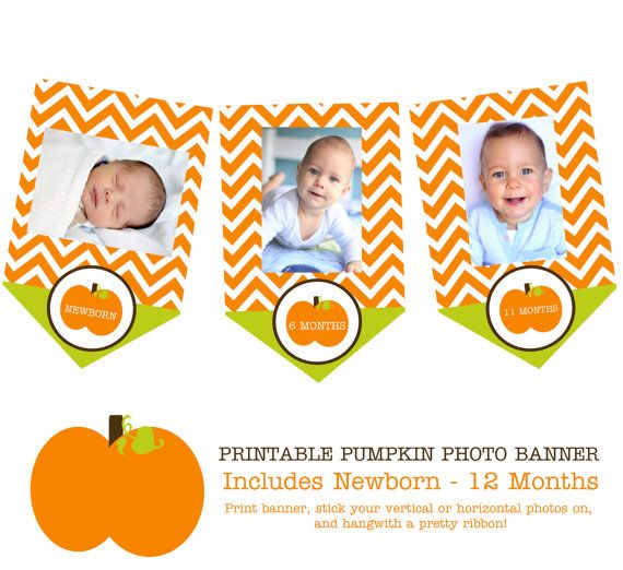 Pumpkin Photo Banner Newborn to 12 Months Banner 1st Birthday