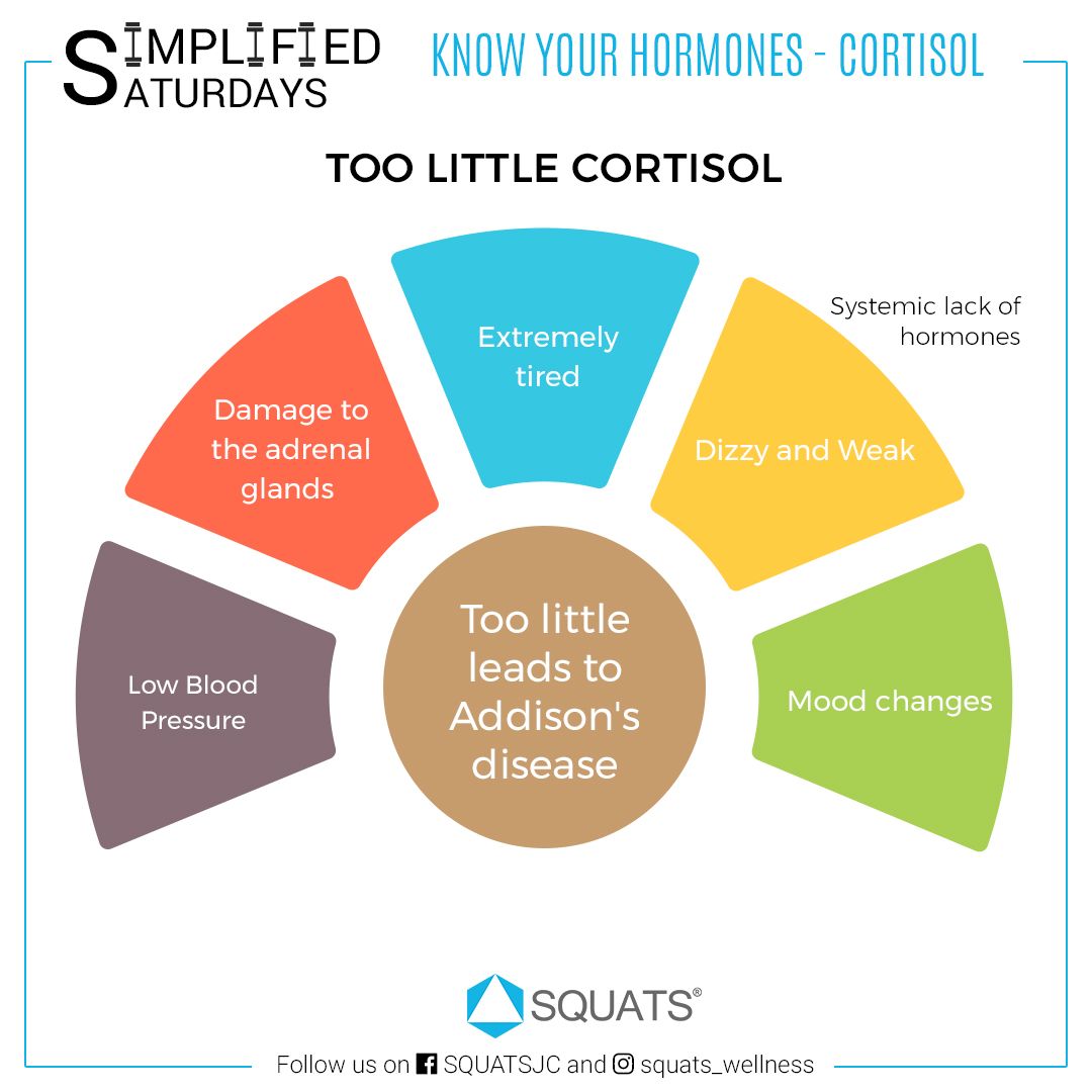Does Cortisone Increase Cortisol Does Cortisone Increase Cortisol