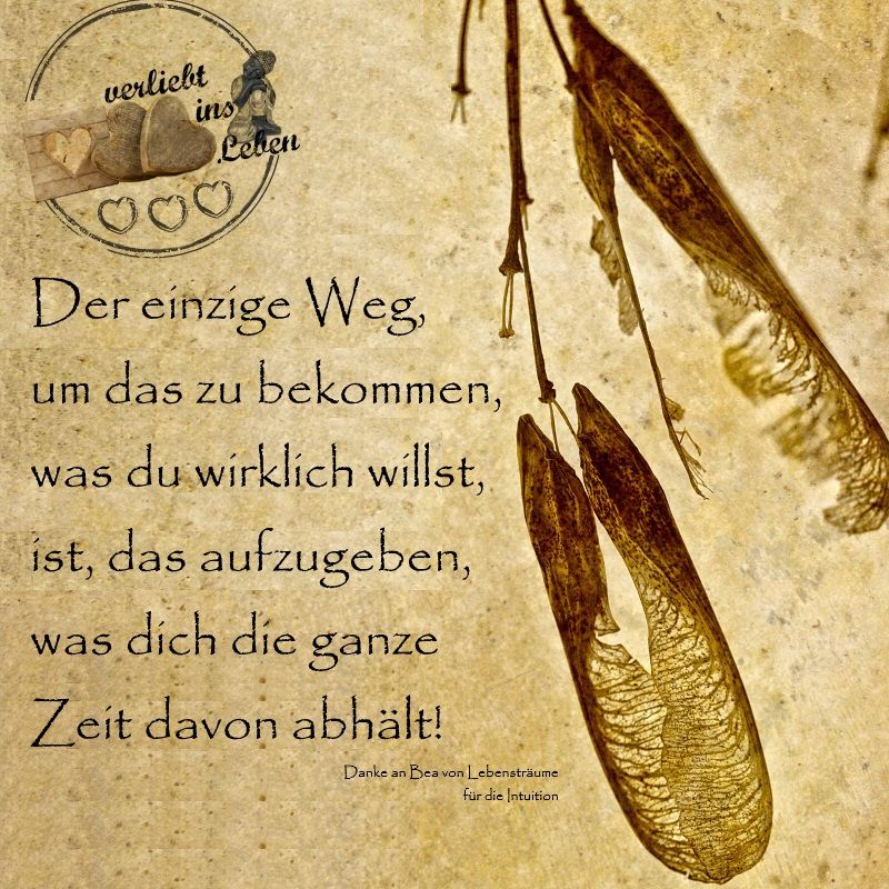 Partnersuche gesetz der anziehung