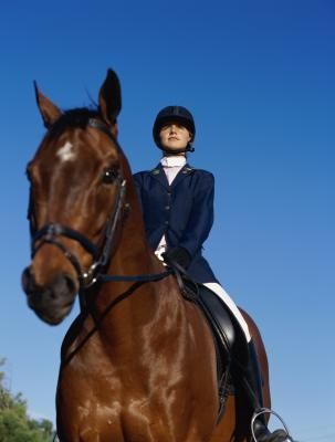 4h horsemanship