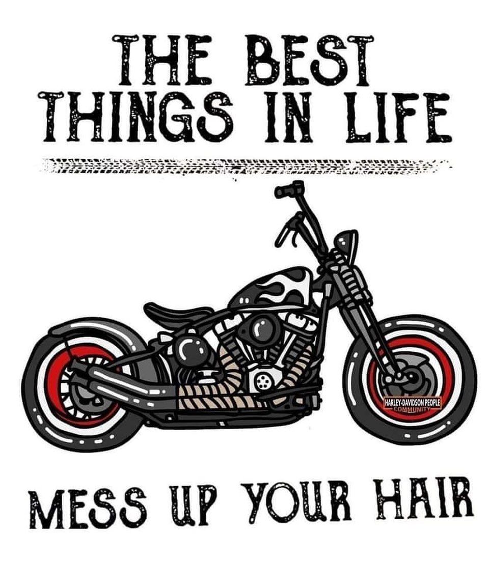Good Girl Gone Biker on Instagram: “♥️ #lovemymotorcycle #letsmoto #motobabes #bikerbabes #letsride #bikerfamily #messyhair #bestthingsinlife #lovetheride #openroads…” Biker Chick Quotes, Motorcycle Quotes Funny, Bike Quotes, Motorcycle Riding Quotes, Motorcycle Humor, Biker Love, Biker Art, Harley Bikes, Lady Riders