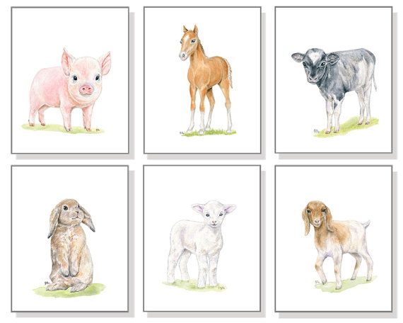 Farm Animal Nursery Decor Prints Country Art Farm Animal Nursery Decor By Jamesriverstudios