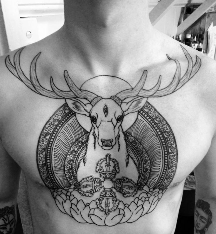 3rd eye deer Stag tattoo, Antler tattoos, Chest tattoo