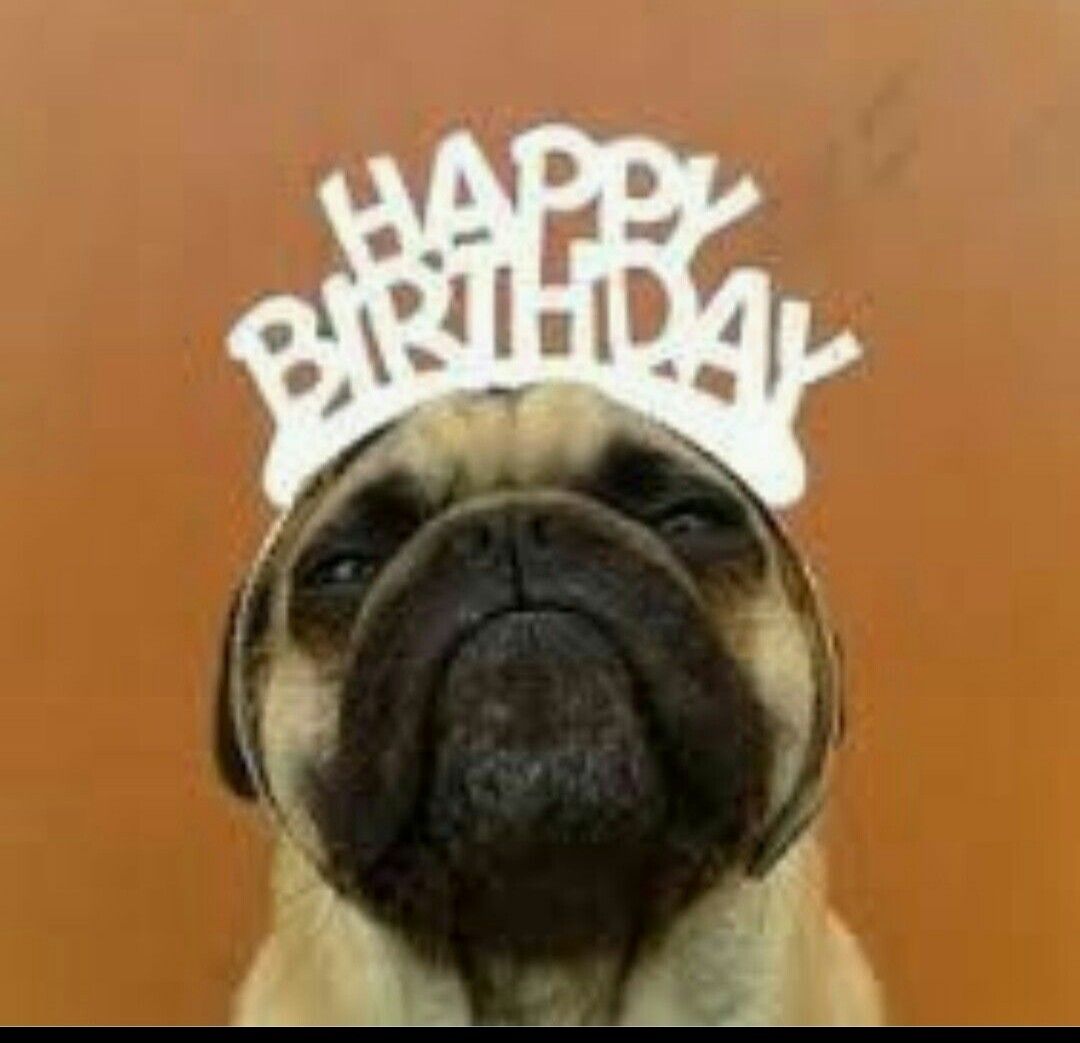 Pin by Vickie Center on Birthday