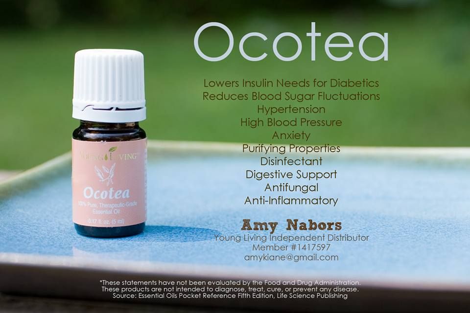 aceite esencial de ocotea para la investigación de la diabetes