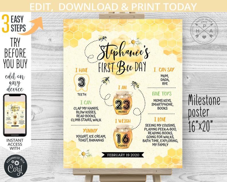 Bee 1st Birthday Chalkboard Sign Stats Board Pink Bumble Party Theme Poster Decor Milestone Printable File
