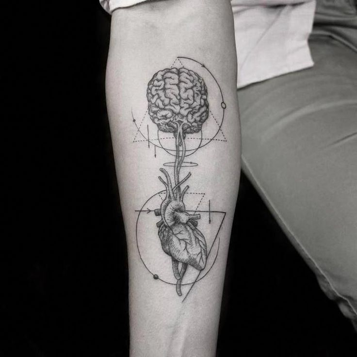 anatomical heart 038 brain tattoo designs geomet anatomical brain anatomical heart 038 brain tattoo designs geomet anatomical brain