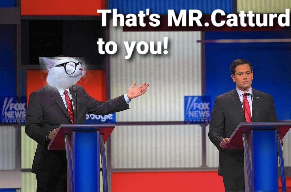 Time To Refresh! 13 Catturd Pics