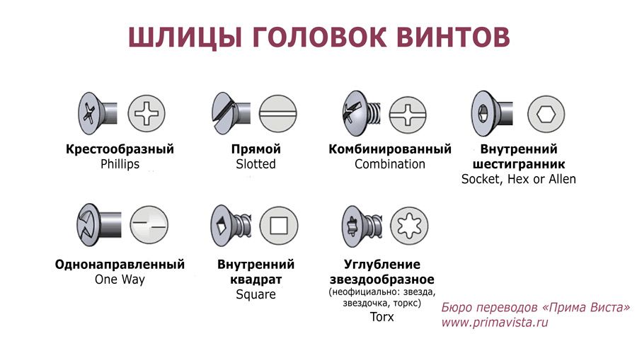 шлицы головок винтов Slot, Word Search Puzzle, English, Words, English Language, Horse